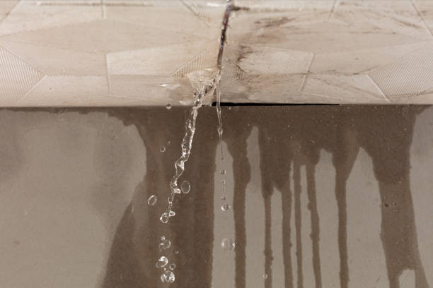 Professional Burst Pipe Cleanup technician working in Point, TX
